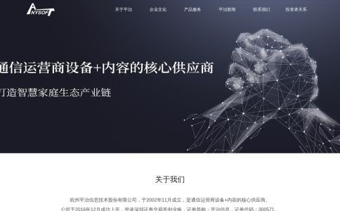 杭州平治信息技术股份有限公司