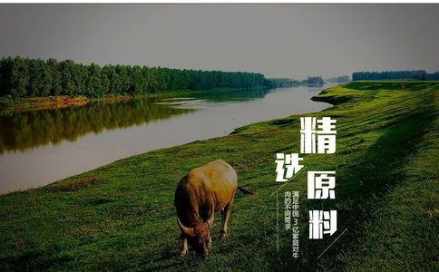 邦杰食品官网