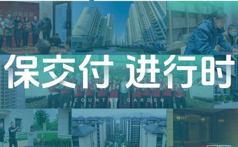碧桂园集团