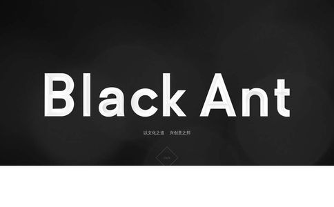 黑蚁BlackAnt