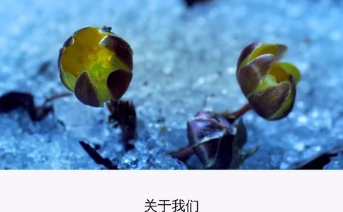 白山市林源春生态科技股份有限公司