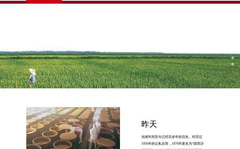 沙洲优黄官网