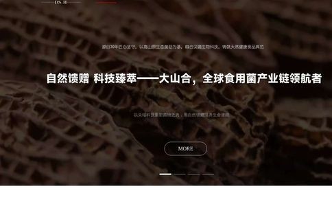 大山合官网