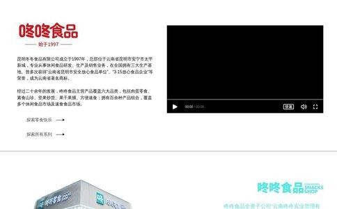咚咚食品官网