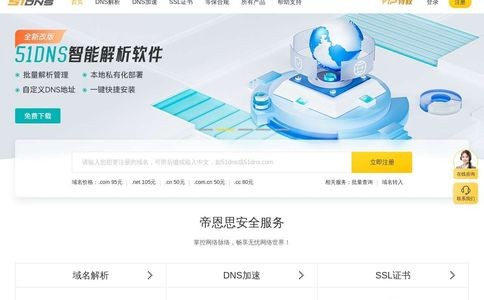 帝恩思域名解析