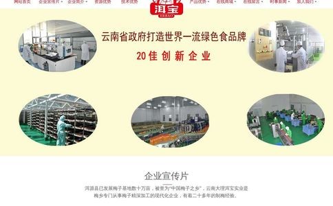 云南大理洱宝实业有限公司