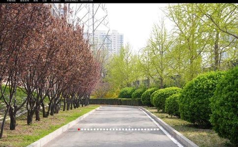 丰顺驾校