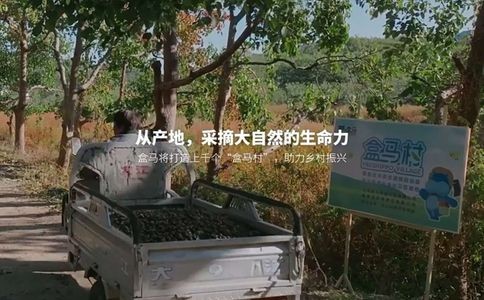 盒马官网
