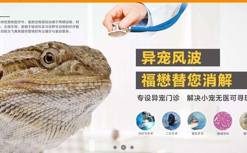 福懋宠物医院