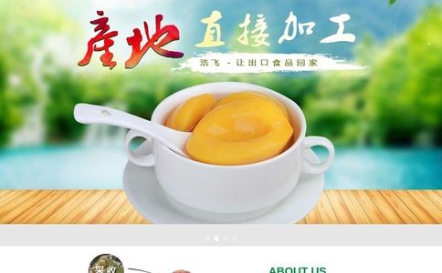 浩飞食品官网