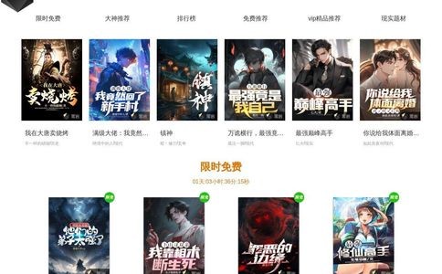 黑岩网（黑岩小说网）