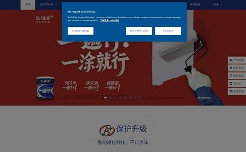 华润漆