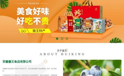徽王食品官网