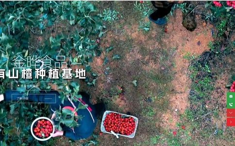 金晔JINYE官网