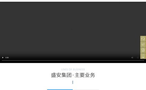 长春市盛安代驾服务公司