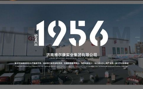 济南维尔康实业集团有限公司