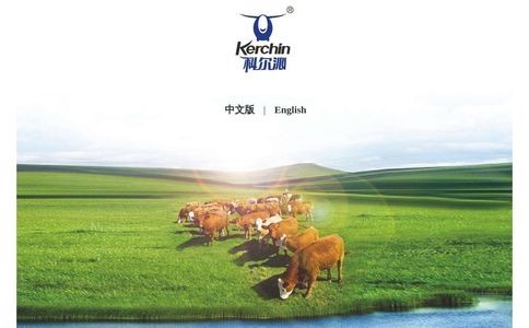 科尔沁kerchin官网