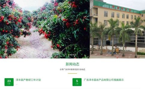泽丰园官网