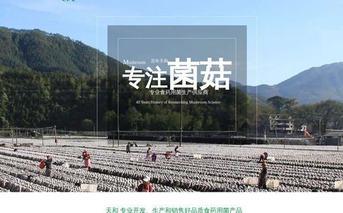 斋仙圆官网