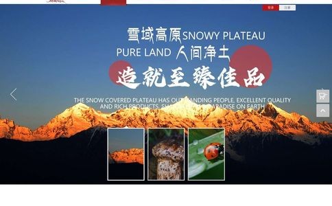 森吉尼达官网