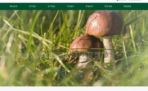 福丽滋官网