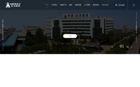 王力安防
