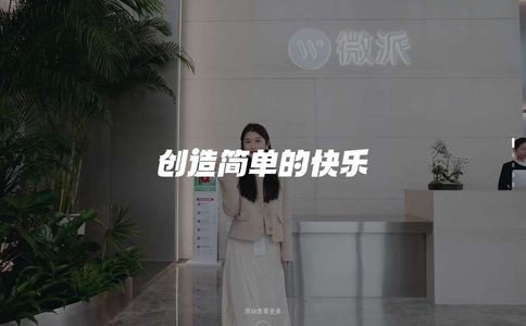 微派网络官网