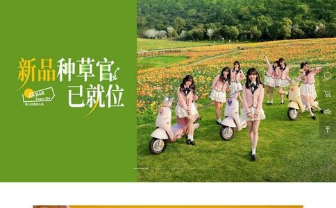 新日电动车官网