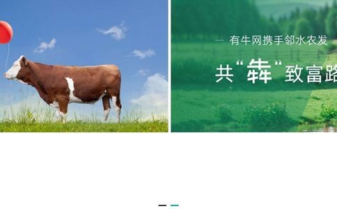 有牛网