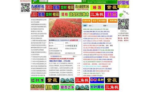 园林网