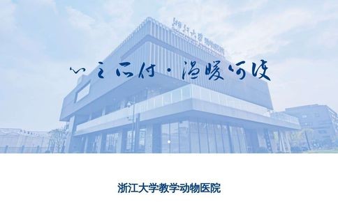 浙江大学附属动物医院